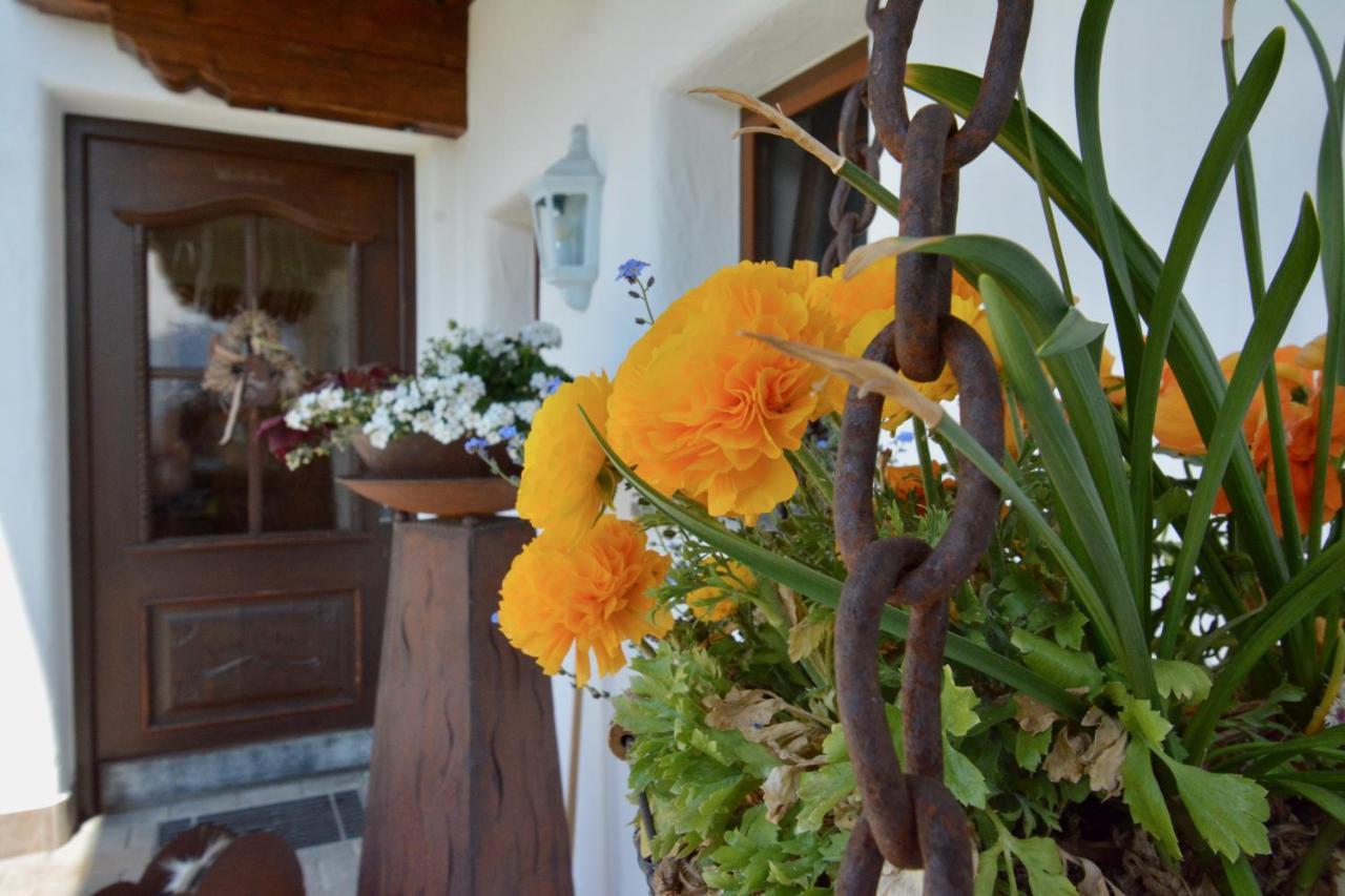 Appartement Oberschernthann Hopfgarten im Brixental Extérieur photo